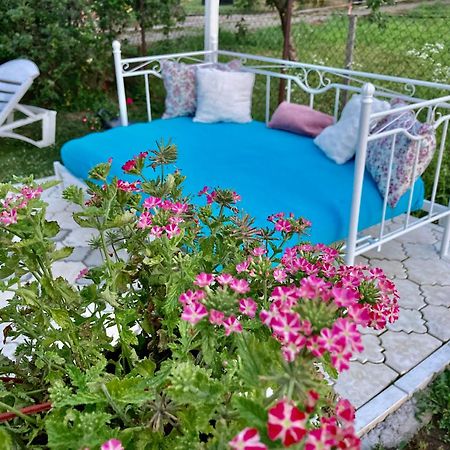 White House With Sauna And Jacuzzi Novi Sad Exterior photo