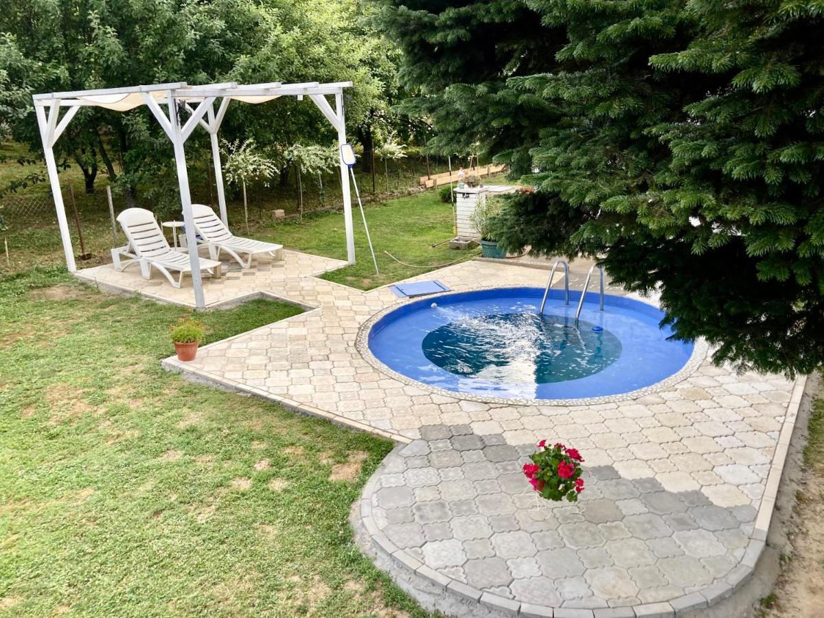 White House With Sauna And Jacuzzi Novi Sad Exterior photo