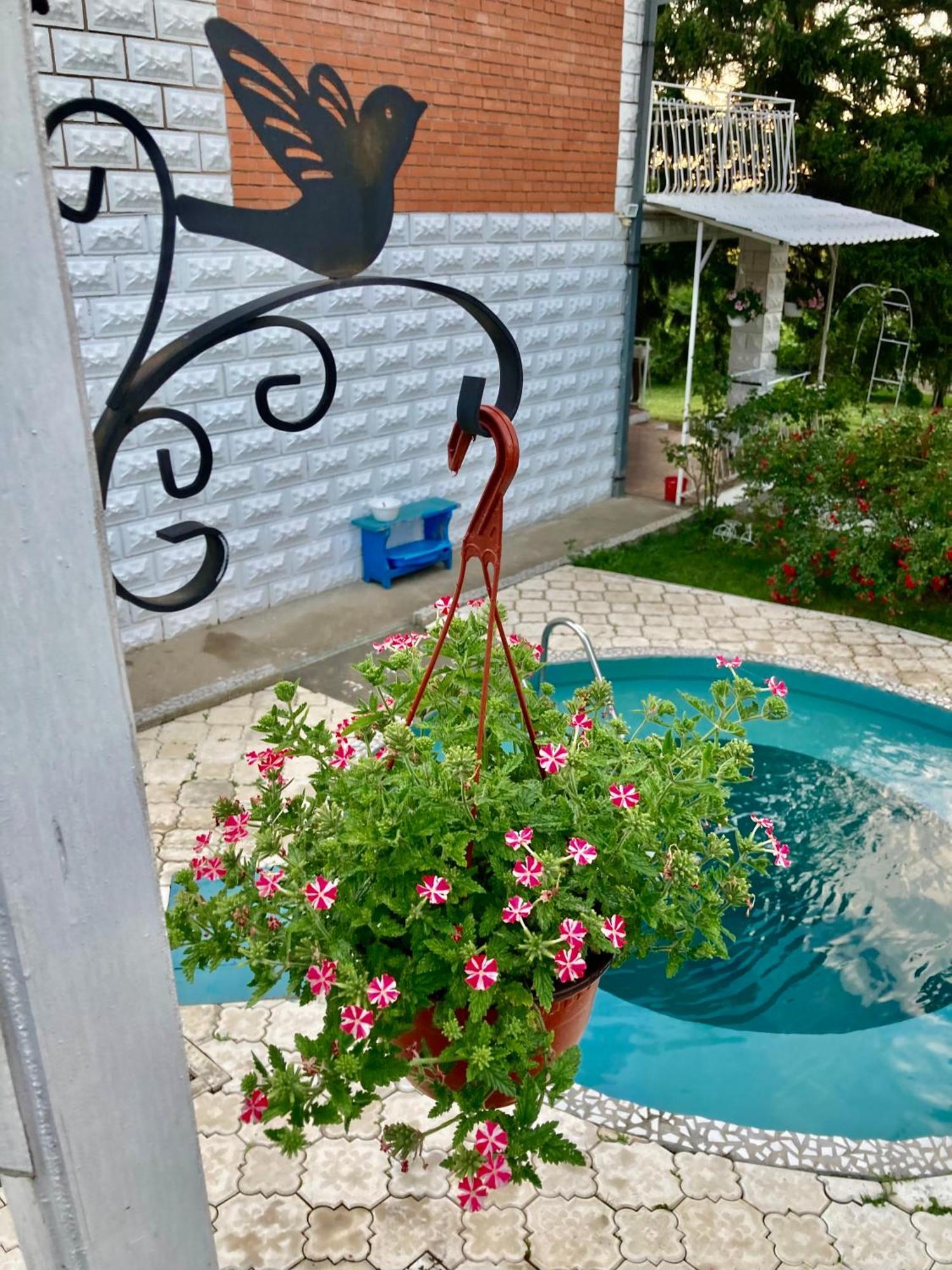 White House With Sauna And Jacuzzi Novi Sad Exterior photo