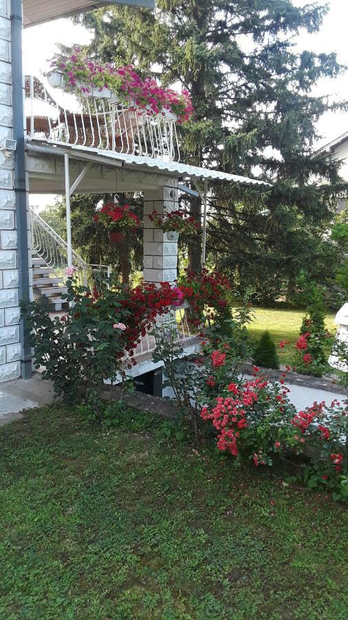 White House With Sauna And Jacuzzi Novi Sad Exterior photo