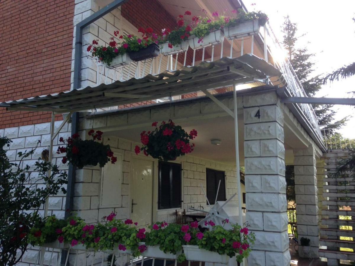 White House With Sauna And Jacuzzi Novi Sad Exterior photo