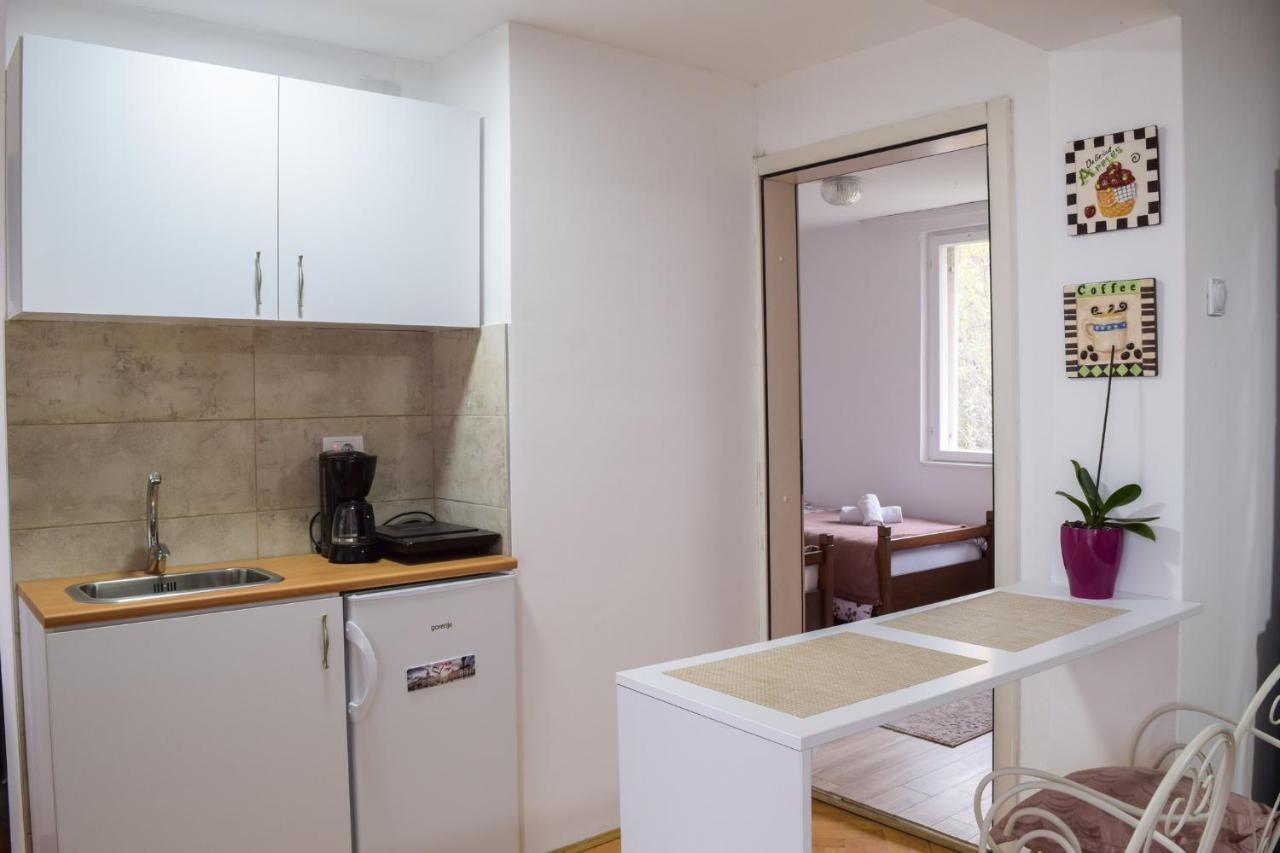 White House With Sauna And Jacuzzi Novi Sad Exterior photo